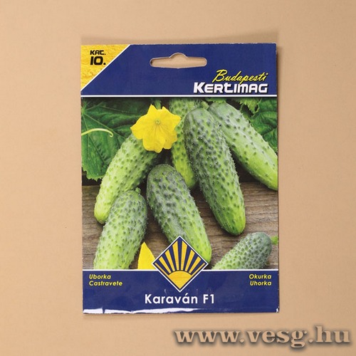 Uborka - Karav�n F1 - 2 g