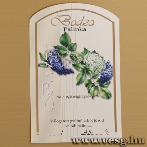 Plinks vegre Cmke /Bodza/