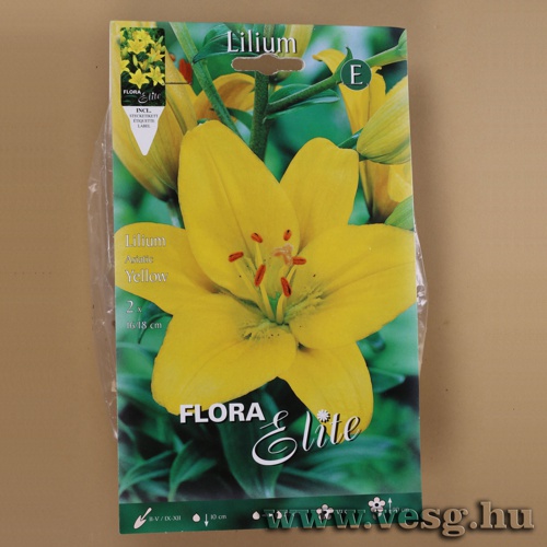 Liliom �zsiai /Yellow/ 2db