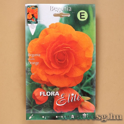 Begónia / Duplavirágú - Narancs / 3db