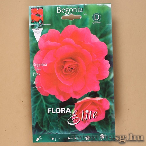 Begónia / Duplavirágú - Rózsaszín / 3db
