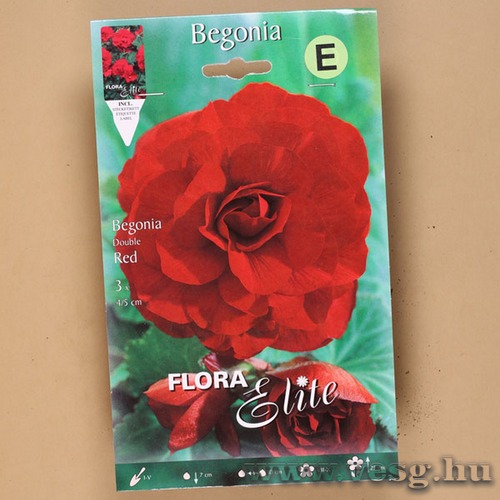 Begónia / Duplavirágú - Piros / 3db