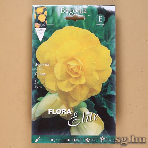 Begónia / Duplavirágú - Sárga / 3db