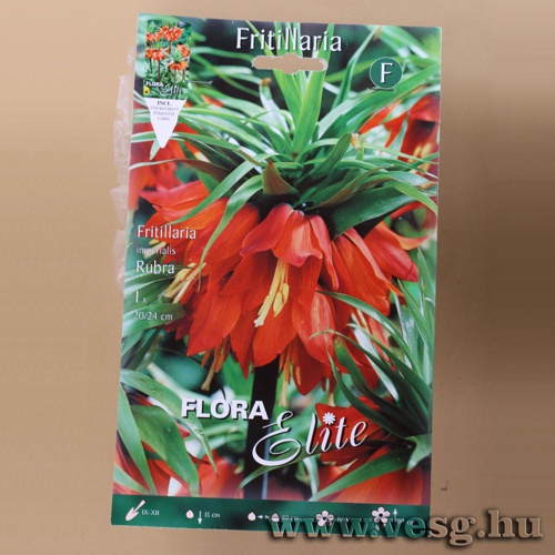 Császárkorona / Rubra / 1db