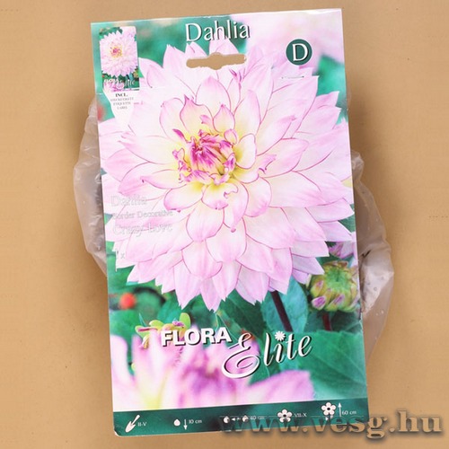 Dália / Crazy Love / 1db