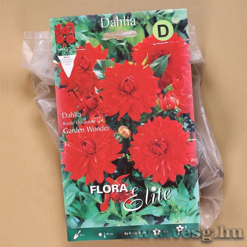 Dália / Garden Wonder / 1db