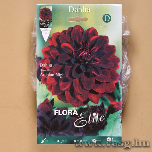 Dália / Arabian Night / 1db