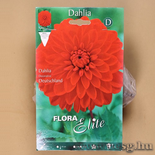 Dália / Deutschland / 1db