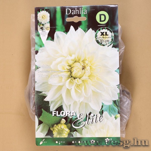 Dália / White Perfection / 1db