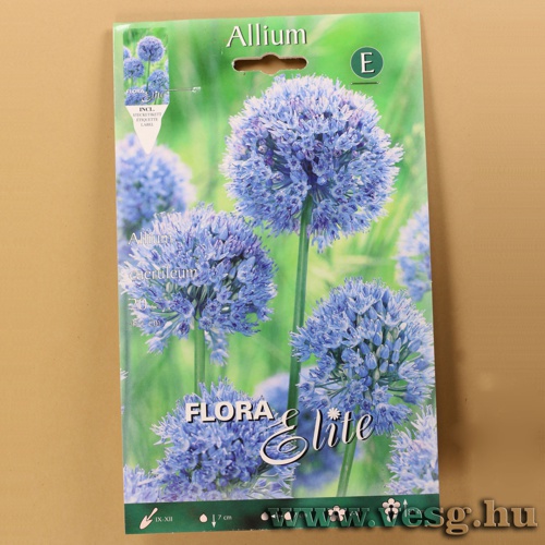Díszhagyma /Caeruleum/ 20db