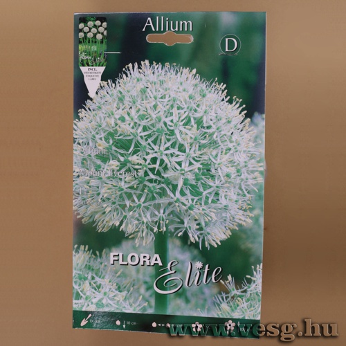 Díszhagyma /Mount Everest/ 1db