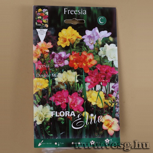 Frézia /Double, Színkeverék/ 10db