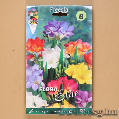 Fr�zia / Szimpla - Sz�nkever�k / 10db