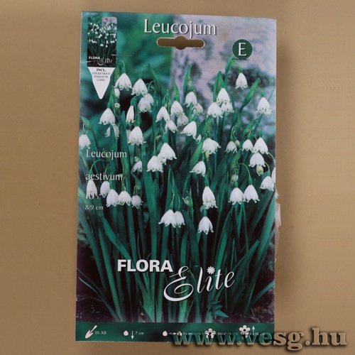 T�zike /Aestivum/ 10db