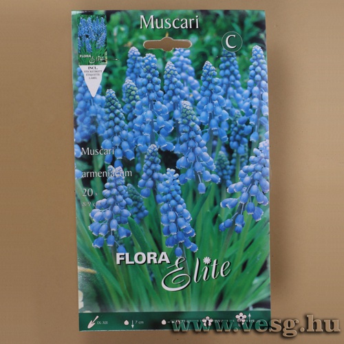 �rm�ny Gy�ngyike 20db