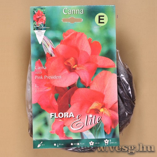 Kannavir�g / Pink President / 1db