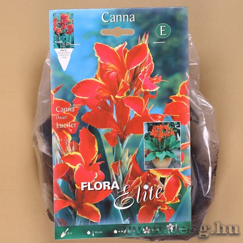 Kannavir�g / Lucifer / 1db