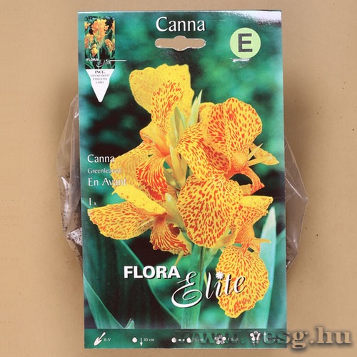 Kannavir�g / En Avant / 1db