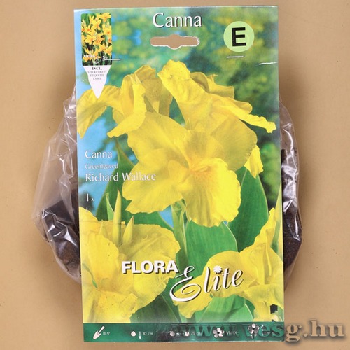 Kannavir�g / Richard Wallace / 1db