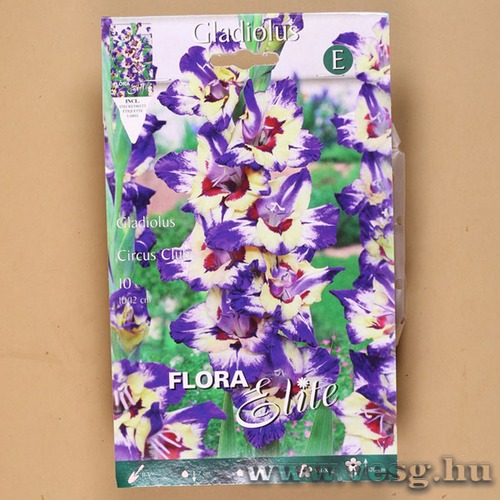 Kardvirág / Circus Club / 10db