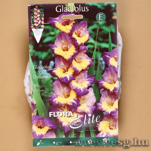 Kardvirág / Dynamite / 10b