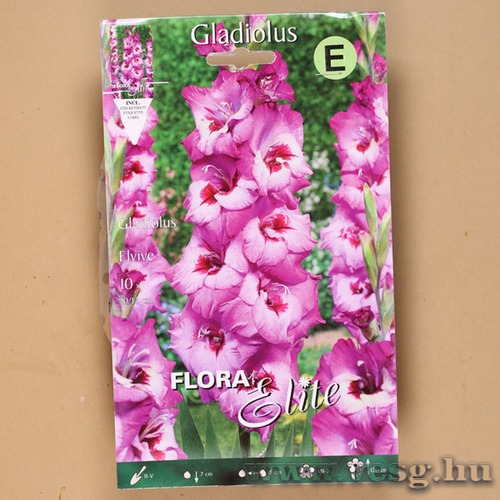 Kardvirág / Elvive / 10db