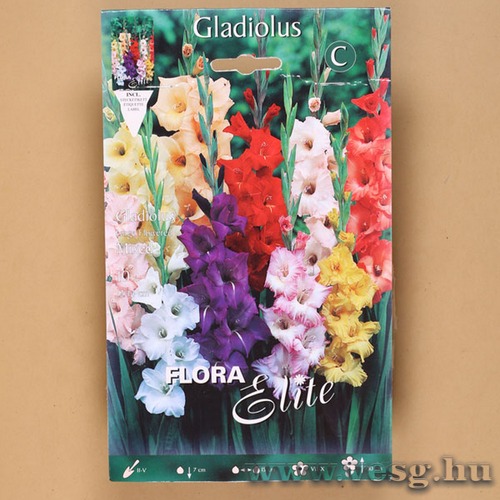 Kardvirág / Színkeverék / 10db