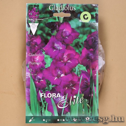 Kardvirág / Plumtart / 10db