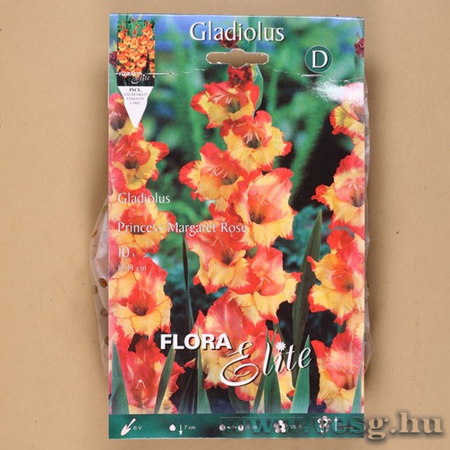 Kardvirág / Princess Margaret Rose / 10db