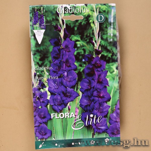 Kardvirág / Purple Flora / 10db