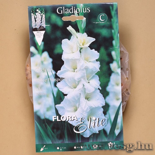 Kardvirg / White Prosperity / 10db