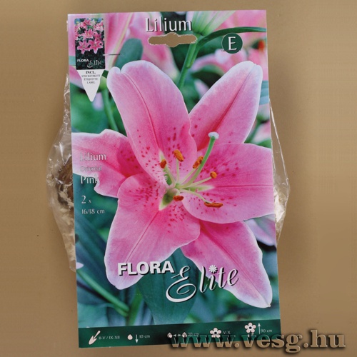 Liliom Oriental /Pink/ 2db