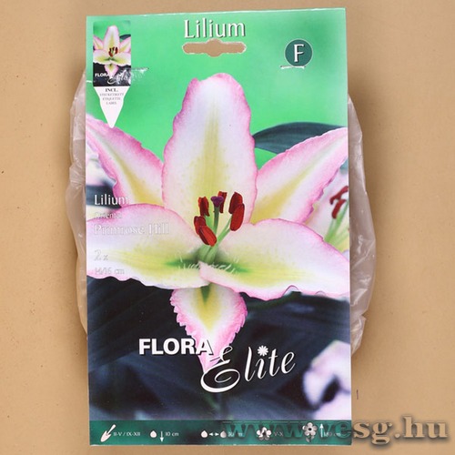 Liliom Oriental /Primrose Hill / 2db