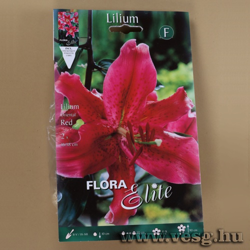 Liliom Oriental /Red/ 2db