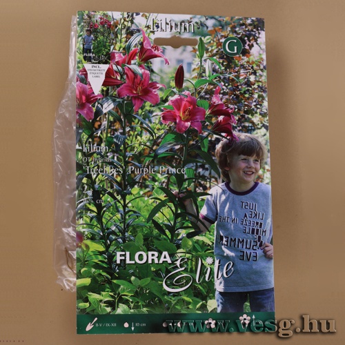 Liliomfa /Treelilies Purple Prince/ 2db