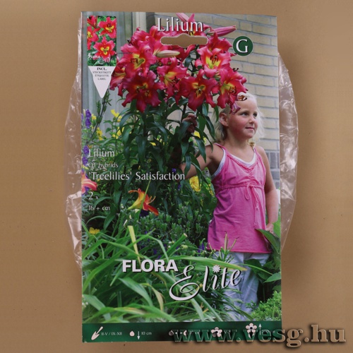 Liliomfa / Satisfaction/ 2db