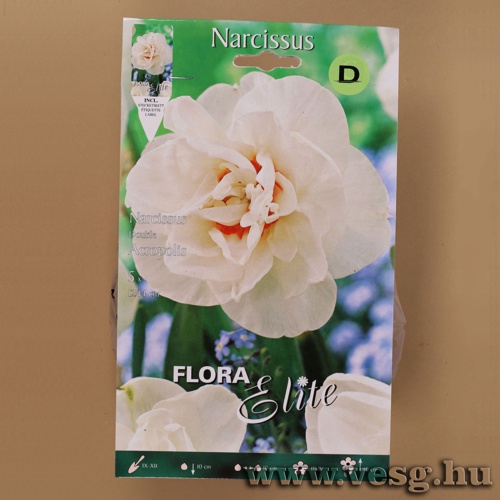 N�rcisz /Acropolis/ 5db