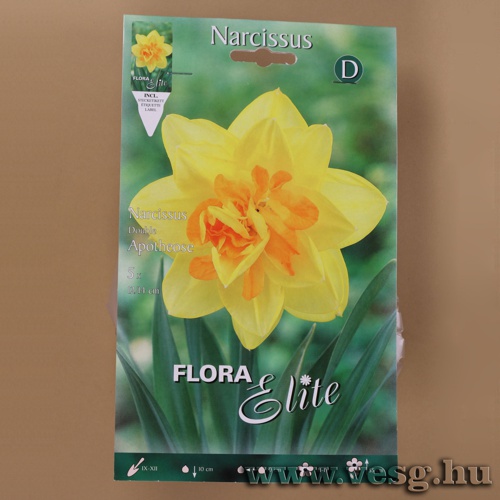 N�rcisz /Apotheose/ 5db