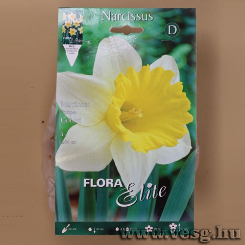 N�rcisz / Goblet / 5db