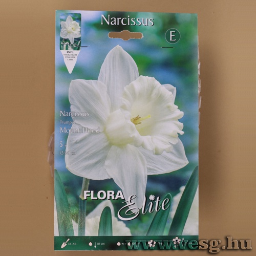 N�rcisz /Mount Hood/ 5db