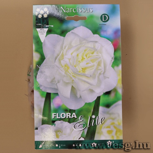 N�rcisz /Obdam/ 5db