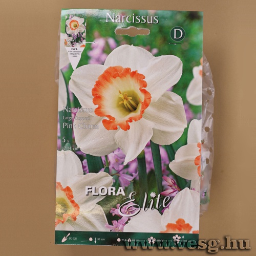 Nárcisz /Pink Charm/ 5db