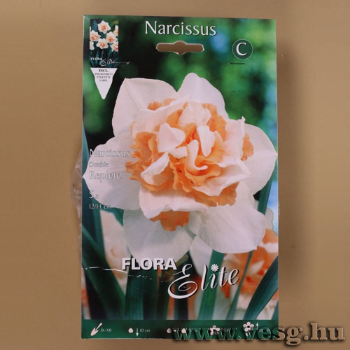 Nrcisz /Replete/ 5db