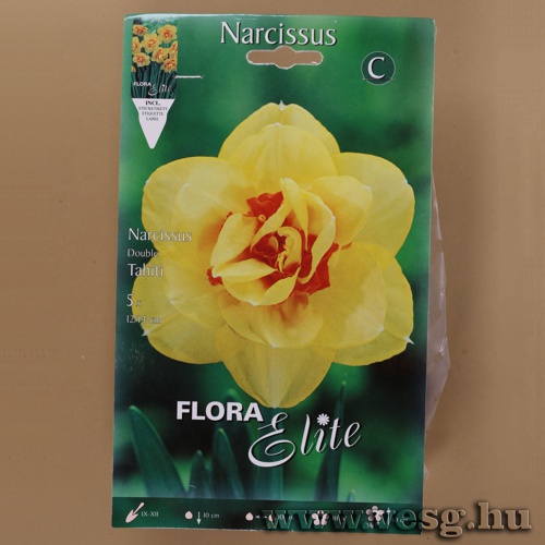 N�rcisz /Tahiti/ 5db