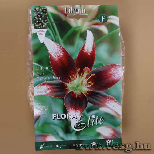 Liliom / Netty s Pride / 2db