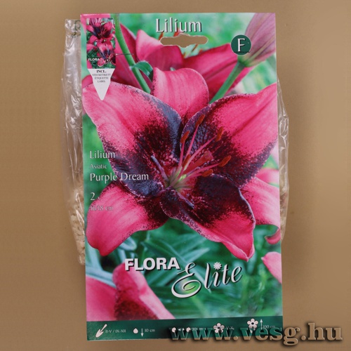 Liliom /Purple Dream/ 2db