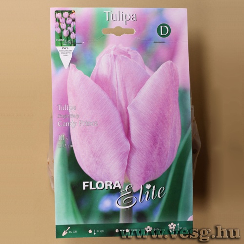 Tulip�n /Candy Prince/ 10db