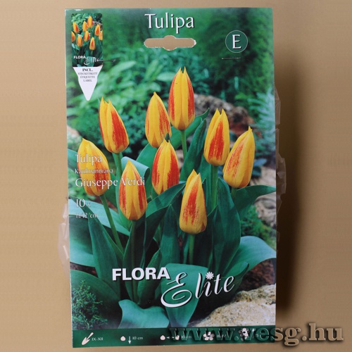 Tulip�n /Giuseppe Verdi/ 10db