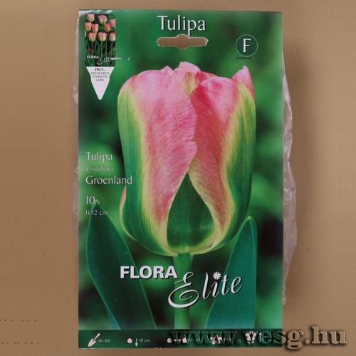 Tulip�n /Groenland/ 10db