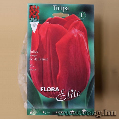 Tulip�n /Ile De France/ 10db